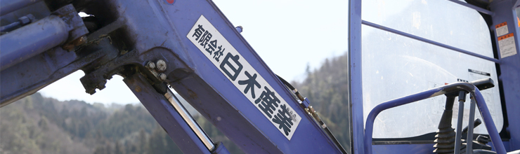 �C���[�W�摜